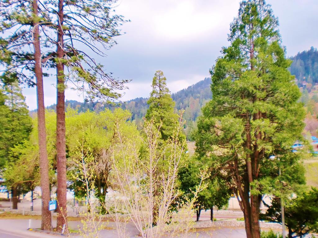 The North Shore Inn Crestline Exterior photo